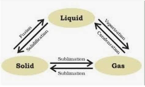 6. Draw a labelled schematic diagram showing inter conversion of matter ...