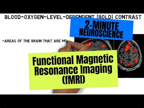 2-Minute Neuroscience: Action Potential | Encyclopedia MDPI