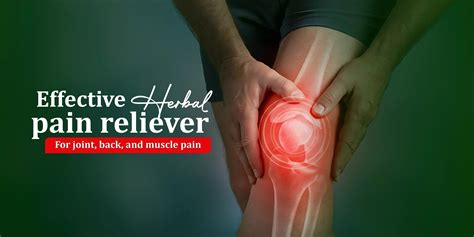 Herbal pain reliever solutions for joint, back & muscle pain – Brawn Herbal