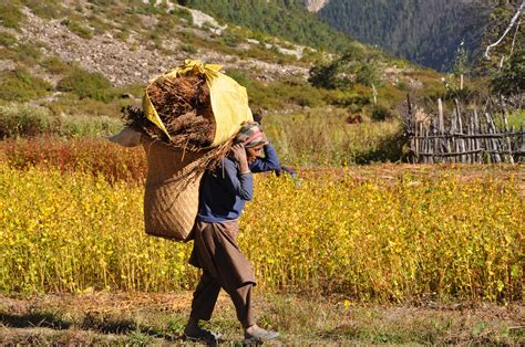 Himalayan Mountains People