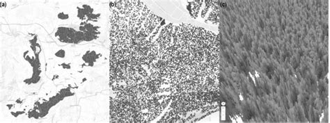 Local Scale Map 的图像结果