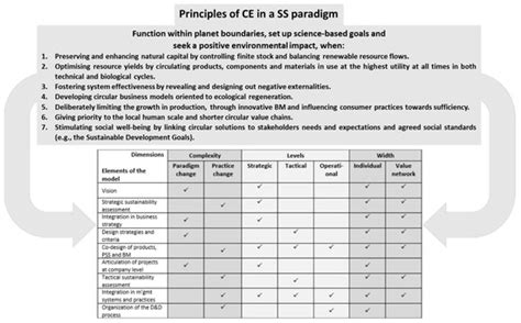 Design for Circular Economy in a Strong Sustainability Paradigm