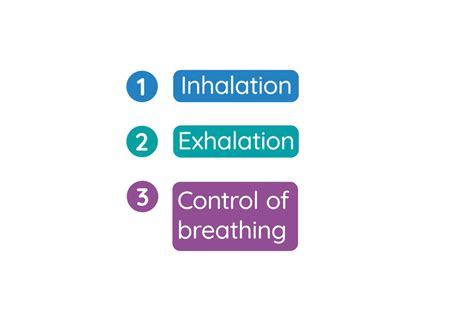 Inhalation Process 的图像结果