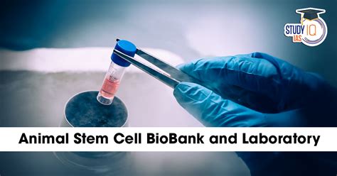 Animal Stem Cell BioBank and Laboratory