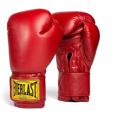 Everlast 1910 Classic Boxing Gloves — USI Universal Web Store