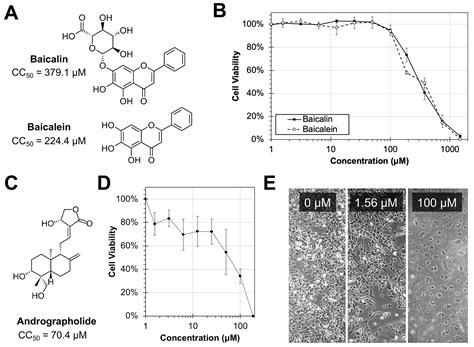 Development of Mouse Hepatitis Virus Chimeric Reporter Viruses ...
