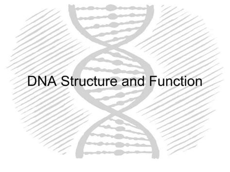 Image result for Normal DNA Function