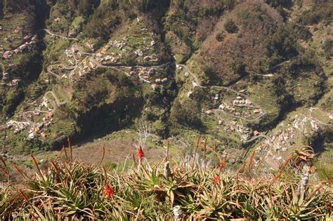 Madeira Valley of the Nuns Tour 2022 - Viator
