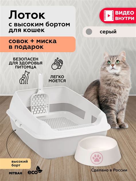 Лоток для кошек большой с высокими бортами и решеткой, кошачий туалет с ...
