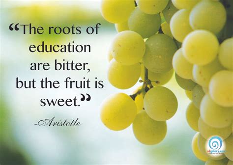 Short Quotes About Education 的图像结果