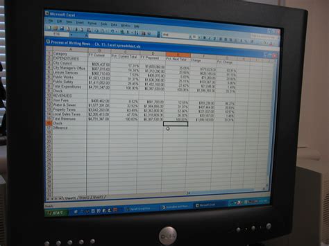 Spreadsheet Examples Local Government 的图像结果