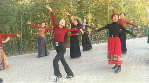 北京紫竹院广场舞，熟悉的曲子，熟练的舞蹈，跳得洒脱奔放,舞蹈,广场舞,好看视频