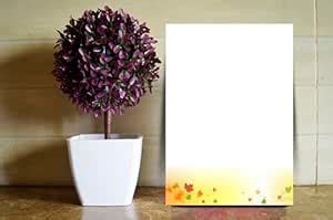 SRIS LETTER HEAD A4 SIZE MULTICOLOUR 20 SHEETS LH14 : Amazon.in: Office ...