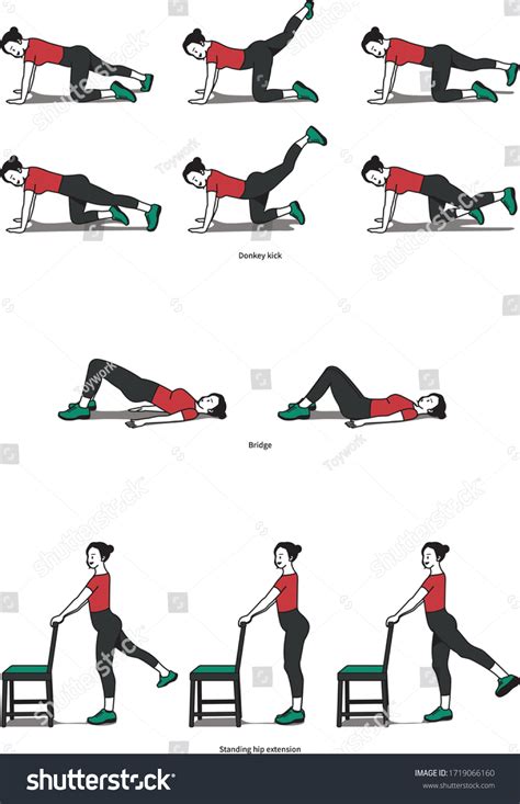 Hip Extension Exercise