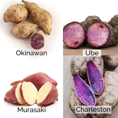 Purple Sweet Potatoes – Sporting Road