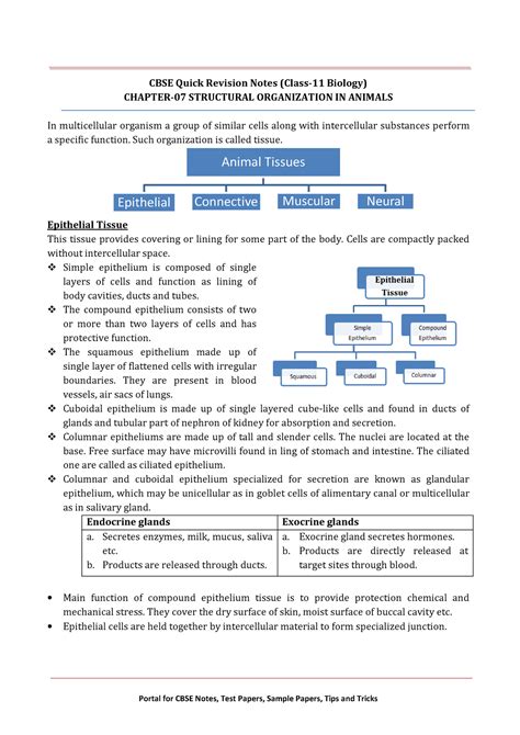 11 biology notes ch07 structural organisation in animals - CBSE Quick ...