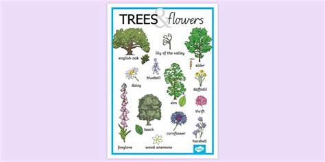 Trees and Flowers Poster | Nature | Display Poster | Twinkl