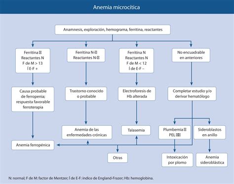 Clases de anemia | ¿Que es la anemia?