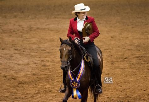 Five Things to Know About Paso Finos | US Equestrian