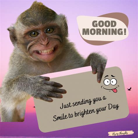 Funny Good Morning Quotes