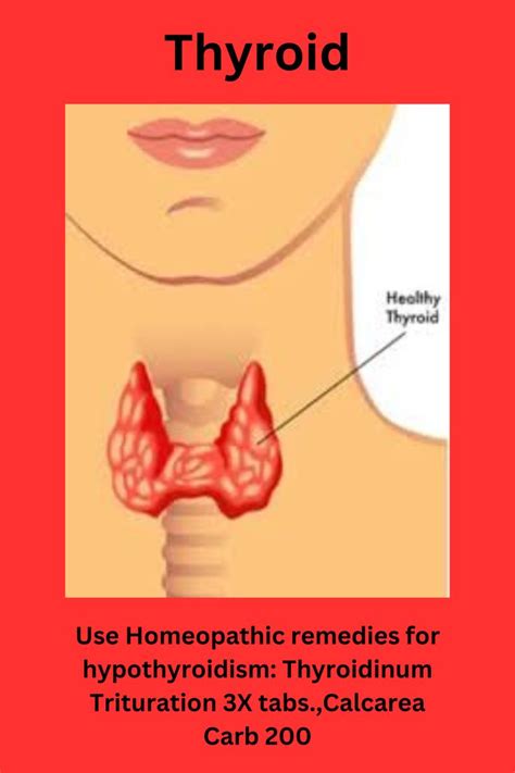 ptk 73 homeopathic medicine