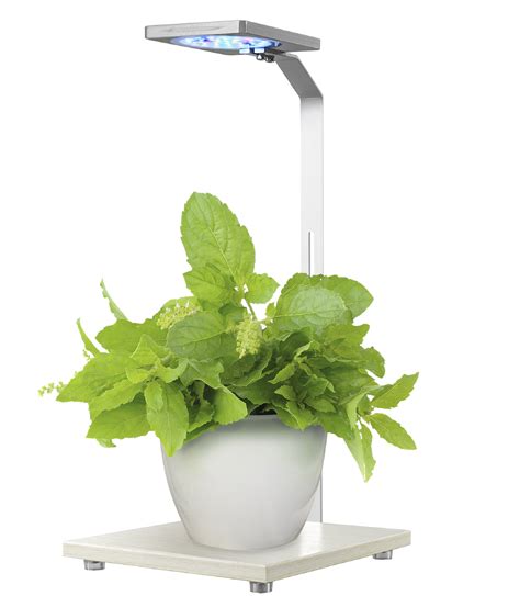 Buy Penn-Plax Eco-Grow Decorative Plant LED Light & Stand – Great for ...