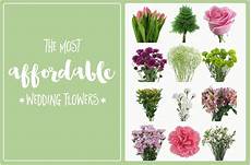 Budget Flowers For Wedding by The Most Affordable Types Of Wedding Flowers On A Budget Budget Flowers For Wedding