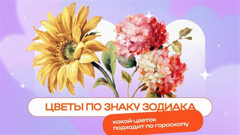 Цветы по знаку зодиака: какие цветы подходят по гороскопу