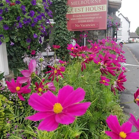 MELBOURNE GUEST HOUSE (Bowness-on-Windermere, England - Lake District ...