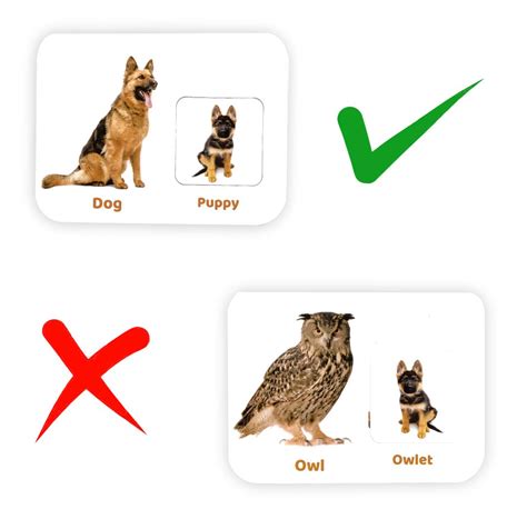 Animals and Their Babies Kit: Boost Visual Discrimination & Vocabulary ...