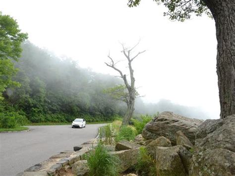 Shenandoah National park - USA | Trip.com Shenandoah National Park