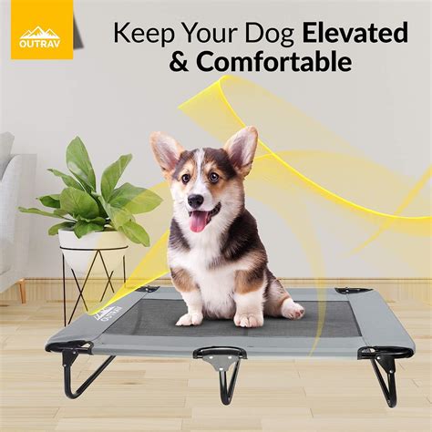 Buy Elevated Dog Cot with Steel Frame - Foldable Raised Play and Rest ...