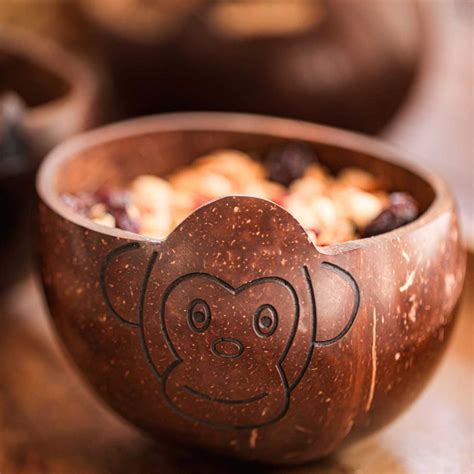 Buy Eco-Friendly Handmade Monkey Theme Coconut Shell Bowl For Kids ...