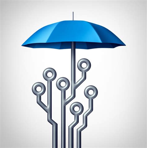 Image result for Why Is Software Protection Important