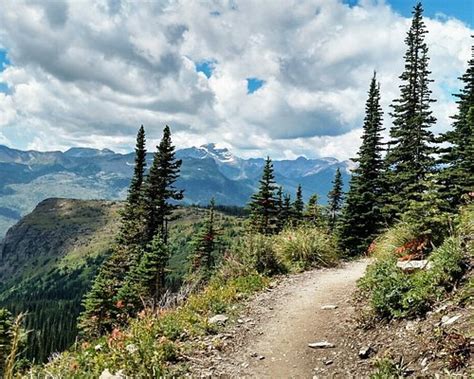 GLACIER NATIONAL PARK CAMPGROUNDS (West Glacier, Montana) - Campground ...