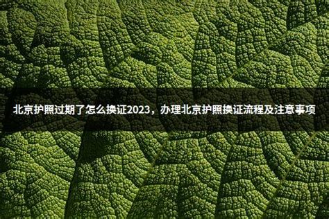 北京护照过期了怎么换证2023，办理北京护照换证流程及注意事项_育英教育网