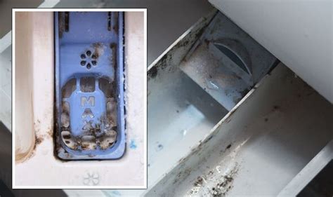 Image result for How to Clean Washing Machine Drawer Mould