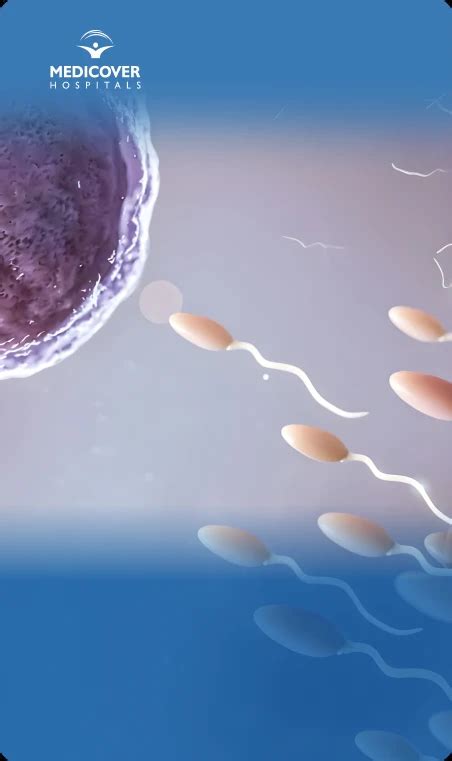 Boost Your Fertility Naturally Effective Tips