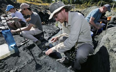 Paleontologists 的图像结果