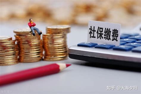 惠州个人社保参保缴费证明微信线上打印详细流程（图文版）- 惠州本地宝
