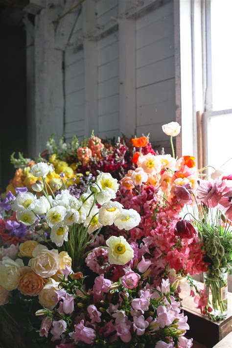 Image result for Spring Flower 321