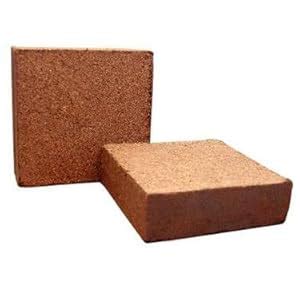 Alternative Soils Cocopeat Block(5 KGS) : Amazon.in: Garden & Outdoors