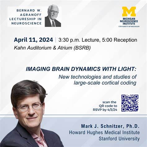 Imaging brain dynamics with light: New technologies and studies of large-scale cortical coding ...