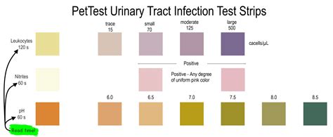 How To Read Urine Test Strips For Blood at Florence Parsons blog