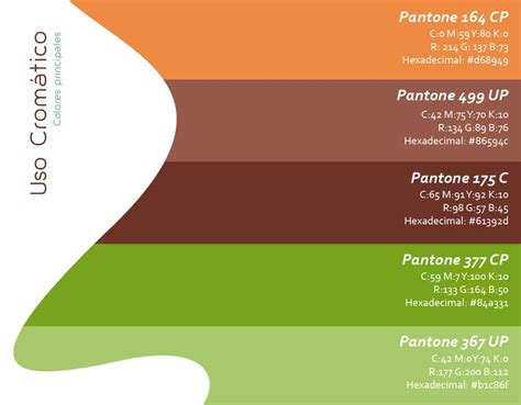 Diseño de marca y manual de identidad | Freelancer