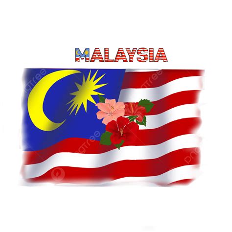 Malaysia Flag And Hibiscus Flower Illustration Image, Malaysia, Hibiscus, Flag PNG Transparent ...