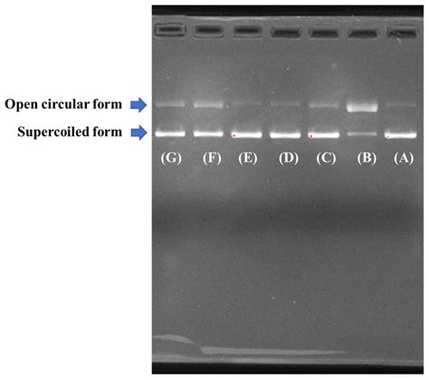 Antioxidant Peptides from the Protein Hydrolysate of Spanish Mackerel ...