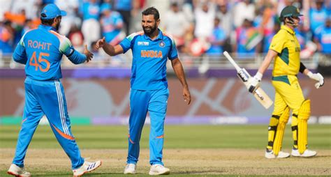 'Haven't Touched Bat Since': Aussie Star Haunted By Shami's Semifinal ...