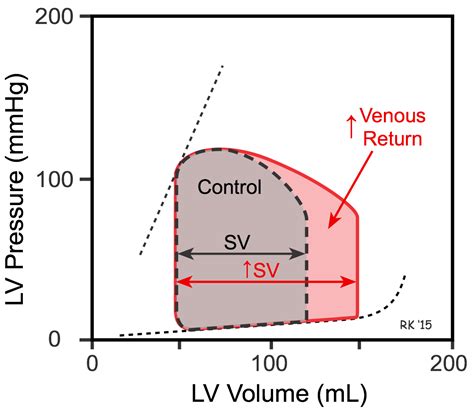 CV Physiology | Frank-Starling Mechanism