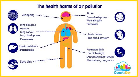 Top 5 Methods for Testing Indoor Air Quality in Your Home